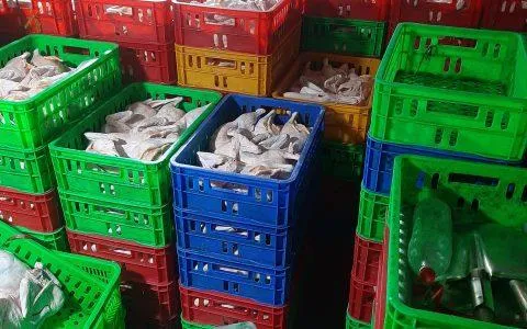Sản phẩm kho lanh 4 480x300 — Kho Lạnh Công Nghiệp Mai Nguyễn - Công Ty TNHH Cơ Điện Lạnh Công Nghiệp Mai
Nguyễn — MST 0316765686