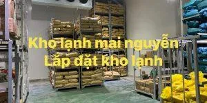 Sản phẩm kho lanh cong nghiep 3 300x150 — Kho Lạnh Công Nghiệp Mai Nguyễn - Công Ty TNHH Cơ Điện Lạnh Công Nghiệp Mai
Nguyễn — MST 0316765686