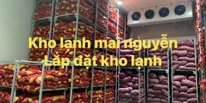 Sản phẩm kho lanh cong nghiep 4 300x150 — Kho Lạnh Công Nghiệp Mai Nguyễn - Công Ty TNHH Cơ Điện Lạnh Công Nghiệp Mai
Nguyễn — MST 0316765686