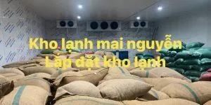 Sản phẩm lap dat kho lanh 4 300x150 — Kho Lạnh Công Nghiệp Mai Nguyễn - Công Ty TNHH Cơ Điện Lạnh Công Nghiệp Mai
Nguyễn — MST 0316765686