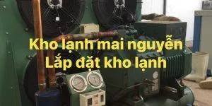 Sản phẩm may nen piston kho lanh 3 300x150 — Kho Lạnh Công Nghiệp Mai Nguyễn - Công Ty TNHH Cơ Điện Lạnh Công Nghiệp Mai
Nguyễn — MST 0316765686