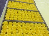 Sản phẩm z2632771107744_8b3a4ab1fc505fb8bbb8f6635b0b244d0516_200x150 — Hoa Sáp - Công Ty TNHH SX Hoa Sáp Đỉnh Việt — MST 0316769786