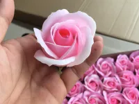 Sản phẩm z3394838297159_9096e41648a6ba24986bd0345b439b509121_200x150 — Hoa Sáp - Công Ty TNHH SX Hoa Sáp Đỉnh Việt — MST 0316769786