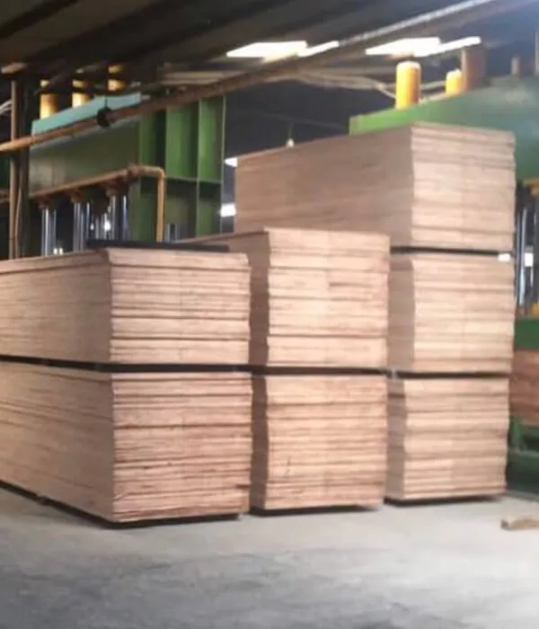 Sản phẩm slide hinh anh thuc te 17 — Ván ép Khôi Phan - Công Ty TNHH Thương Mại Khôi Phan — MST 0316772122