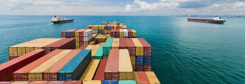 Sản phẩm 400737b771 — IPO Logistics - Công Ty TNHH Dịch Vụ IPO Logistics — MST 0316772669