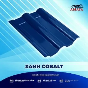 Sản phẩm Ngoi AMATA A689 300x300 — Công Ty TNHH Phát Triển Dịch Vụ Xây Dựng ánh Dương — MST 0316773662