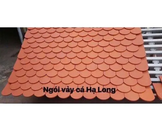 Sản phẩm ngoi vay ca 534x400 — Công Ty TNHH Phát Triển Dịch Vụ Xây Dựng ánh Dương — MST 0316773662