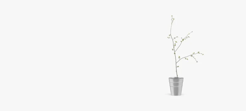 Sản phẩm hp1 blog bg — Công Ty Cổ Phần Bao Bì Thực Phẩm TP — MST 0316774553