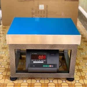 Sản phẩm can ghe ngoi a12e — Cân Điện Tử Cường Phát - Công Ty TNHH Cân Điện Tử Cường Phát — MST 0316795440