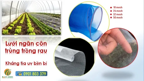 Sản phẩm 1627049066 luoi ngan con trung full — Vật Tư Nông Nghiệp Bách Nông - Công Ty TNHH Lưới Bách Nông — MST 0316800732