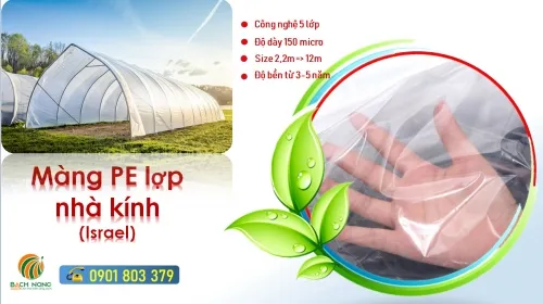 Sản phẩm 1627052322 mang pe lop nha kinh israel — Vật Tư Nông Nghiệp Bách Nông - Công Ty TNHH Lưới Bách Nông — MST 0316800732