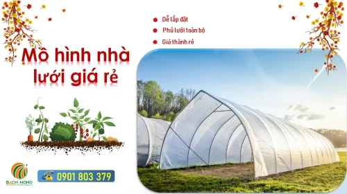 Sản phẩm 1627055434 mo hinh nha luoi gia re — Vật Tư Nông Nghiệp Bách Nông - Công Ty TNHH Lưới Bách Nông — MST 0316800732