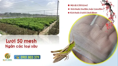 Sản phẩm 1629755636 luoi ngan con trung 50 mesh — Vật Tư Nông Nghiệp Bách Nông - Công Ty TNHH Lưới Bách Nông — MST 0316800732