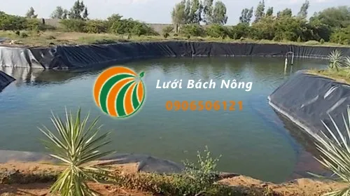Sản phẩm 1641369859 mang chong tham hdpe bat chong tham ao ca 127 — Vật Tư Nông Nghiệp Bách Nông - Công Ty TNHH Lưới Bách Nông — MST 0316800732