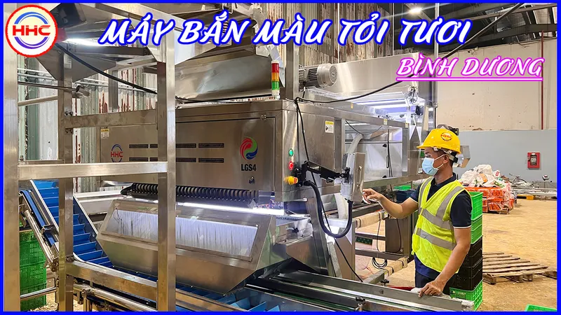 Sản phẩm may ban mau HHC691688433930 — Công Ty TNHH Công Nghệ Tầm Nhìn HHC — MST 0316802627