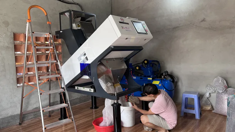 Sản phẩm may ban mau hat giong.JPG — Công Ty TNHH Công Nghệ Tầm Nhìn HHC — MST 0316802627