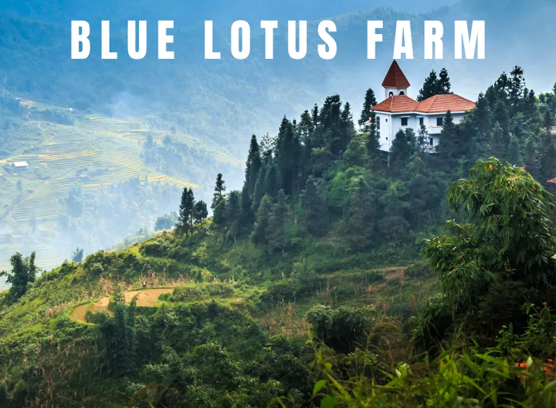 Sản phẩm 5 1 — Thủ Công Mỹ Nghệ Blue Lotus - Công Ty TNHH Xuất Nhập Khẩu Blue Lotus — MST 0316808788