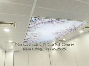 Sản phẩm phong mri binh dinh2 300x225 — Công Ty Nam Cường - Công Ty TNHH Công Nghệ Y Tế Nam Cường — MST 0316809654