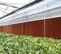 Sản phẩm he thong lam mat cho trang trai trong hoa 1 1208 — Công Ty TNHH Thương Mại Dịch Vụ Maxfan — MST 0316812921