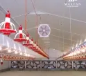 Sản phẩm he thong lam mat trang trai 14121 5359 — Công Ty TNHH Thương Mại Dịch Vụ Maxfan — MST 0316812921