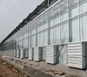 Sản phẩm he thong lam mat vuon rau 35 4899 — Công Ty TNHH Thương Mại Dịch Vụ Maxfan — MST 0316812921