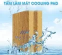 Sản phẩm hinh nen tam lam mat 6662 — Công Ty TNHH Thương Mại Dịch Vụ Maxfan — MST 0316812921