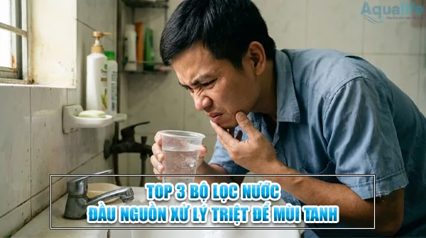 Sản phẩm top 3 bo loc nuoc dau nguon xu ly triet de mui tanh — Công Ty TNHH Thương Mại Và Dịch Vụ Aqualife — MST 0316820224