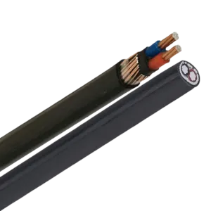 Sản phẩm concentric_cable_lv 300x300 — Công Ty TNHH Electric Wire And Cable Viet Nam — MST 0316825423