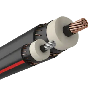 Sản phẩm concentric_cable_mv 300x300 — Công Ty TNHH Electric Wire And Cable Viet Nam — MST 0316825423