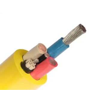 Sản phẩm 微信图片_20240514151654 2 300x300 — Công Ty TNHH Electric Wire And Cable Viet Nam — MST 0316825423