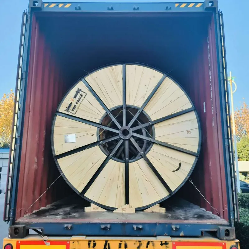 Sản phẩm delivery_03 1024x1024 — Công Ty TNHH Electric Wire And Cable Viet Nam — MST 0316825423