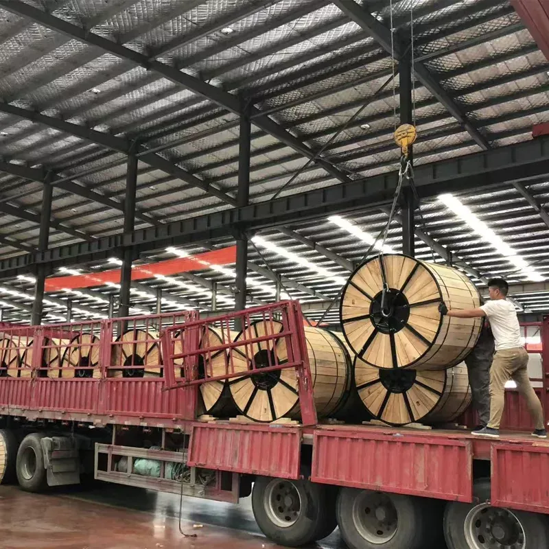 Sản phẩm 1 1 — Công Ty TNHH Electric Wire And Cable Viet Nam — MST 0316825423