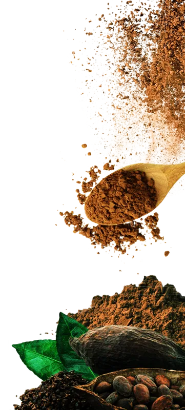 Sản phẩm bot cacao khong duong img — Công Ty TNHH Sản Xuất Thương Mại Dịch Vụ Figo Group — MST 0316826201