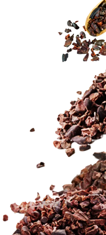 Sản phẩm hat cacao img — Công Ty TNHH Sản Xuất Thương Mại Dịch Vụ Figo Group — MST 0316826201