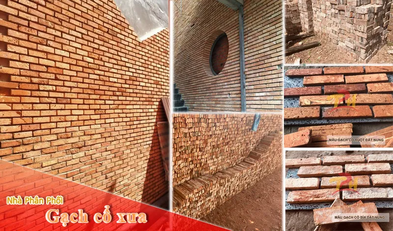 Sản phẩm gach co 2024 — Công Ty TNHH Thành Phát Huy — MST 0316834315