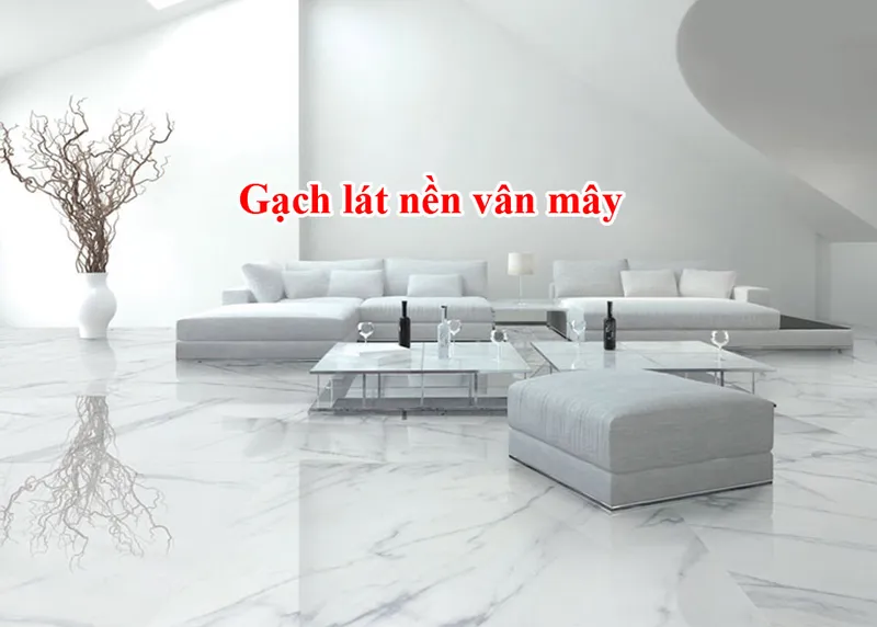 Sản phẩm gach trang van may — Công Ty TNHH Thành Phát Huy — MST 0316834315