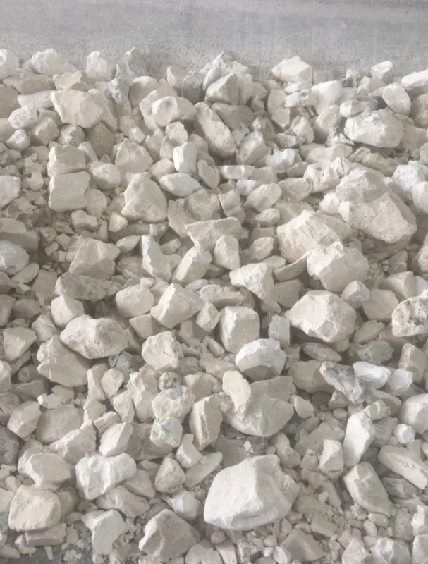Sản phẩm gia voi cuc — Công Ty TNHH Sản Xuất Thương Mại Dịch Vụ Silica — MST 0316864133