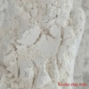 Sản phẩm cao lanh indo 300x300 — Công Ty TNHH Sản Xuất Thương Mại Dịch Vụ Silica — MST 0316864133