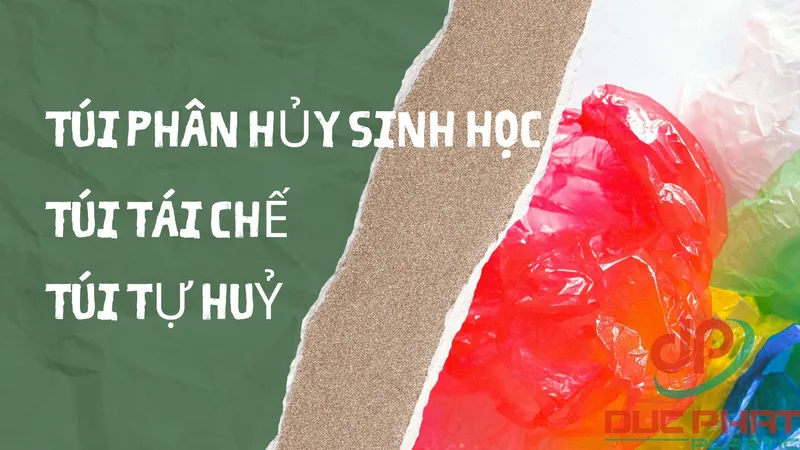 Sản phẩm Reduce Reuse Recycle Presentation in Green and White Illustrative Style — Bao Bì Đức Phát - Công Ty TNHH Sản Xuất Thương Mại Dịch Vụ Bao Bì Đức Phát — MST 0316864863