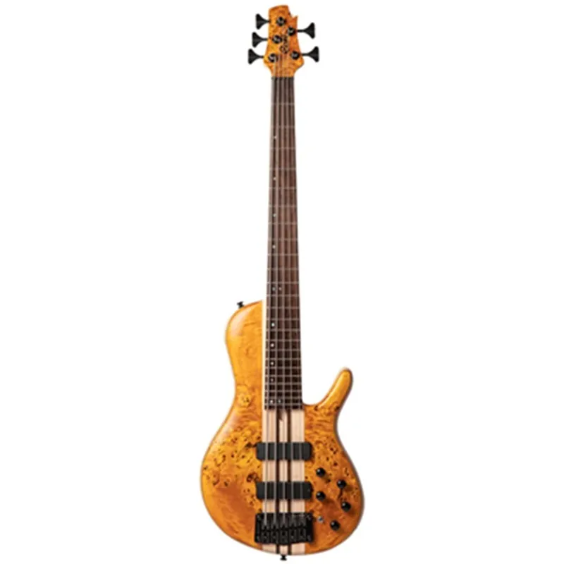 Sản phẩm dan guitar bass 20072025091436 — Công Ty TNHH Âm Nhạc Đồng Tâm — MST 0316872649