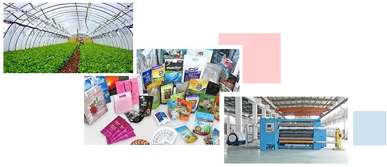 Sản phẩm 2017010269855321 — Công Ty TNHH Mingri Holdings (Việt Nam) — MST 0316874149