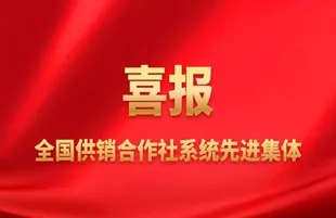 Sản phẩm 2024120237669029 — Công Ty TNHH Mingri Holdings (Việt Nam) — MST 0316874149