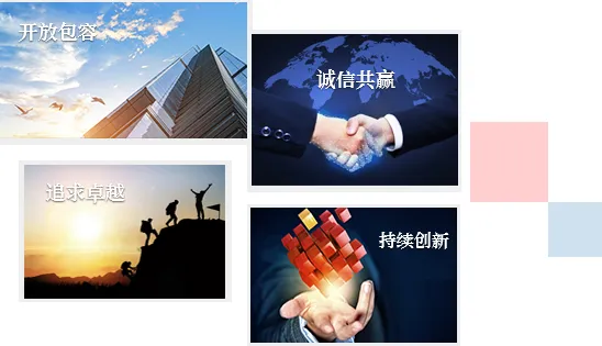 Sản phẩm qywh_01 — Công Ty TNHH Mingri Holdings (Việt Nam) — MST 0316874149