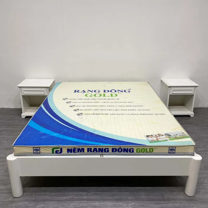 Sản phẩm 1 — Công Ty TNHH Sản Xuất Nệm Rạng Đông — MST 0316880713