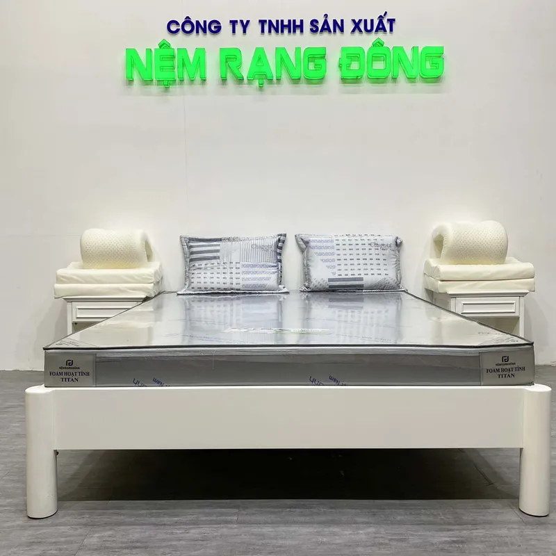 Sản phẩm 1 — Công Ty TNHH Sản Xuất Nệm Rạng Đông — MST 0316880713