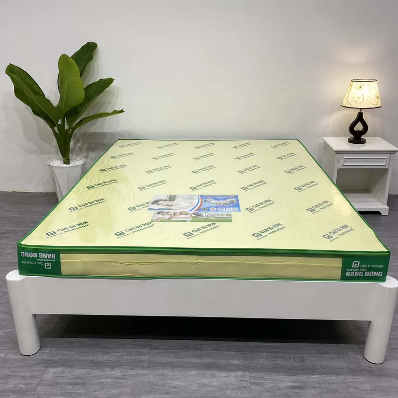 Sản phẩm 1 — Công Ty TNHH Sản Xuất Nệm Rạng Đông — MST 0316880713