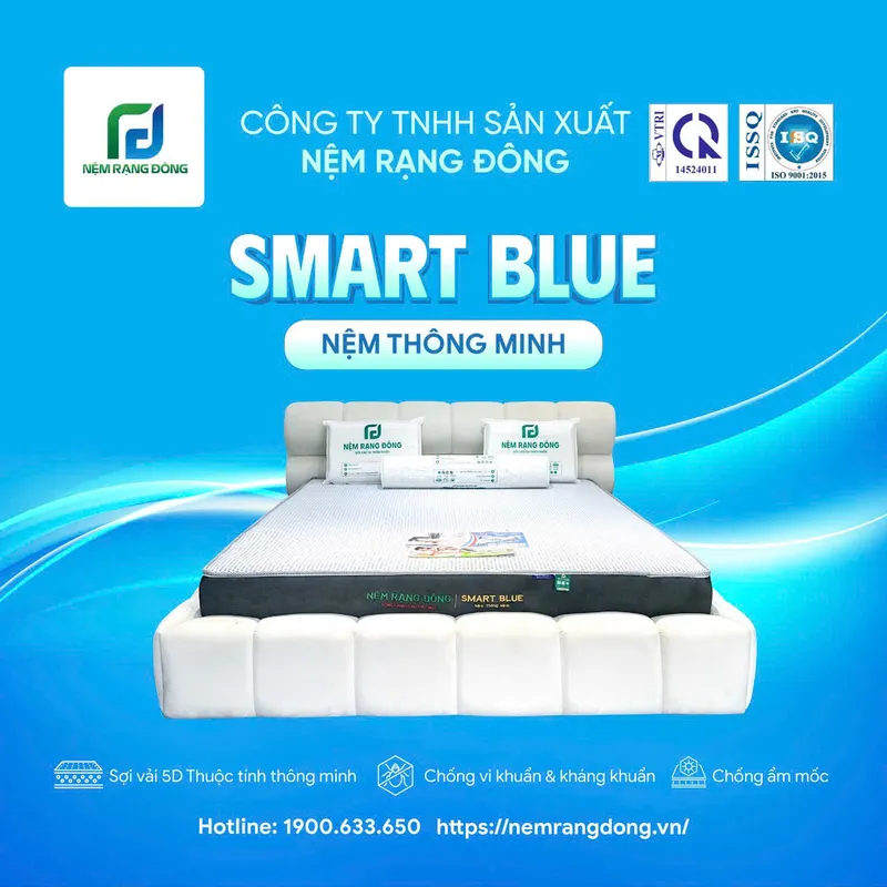 Sản phẩm 1 — Công Ty TNHH Sản Xuất Nệm Rạng Đông — MST 0316880713