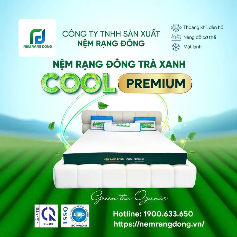 Sản phẩm 1 — Công Ty TNHH Sản Xuất Nệm Rạng Đông — MST 0316880713