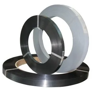 Sản phẩm day dai thep 300x300 — Công Ty TNHH Máy Móc Và Thiết Bị Ngọc ánh — MST 0316897040