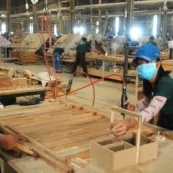 Sản phẩm 40a9824 1775793152.jpg — Công Ty TNHH Thương Mại Dịch Vụ Sản Xuất Phát Triển Hoàng Quân — MST 0316911390